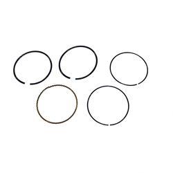 Picture of Ring Kit - Std