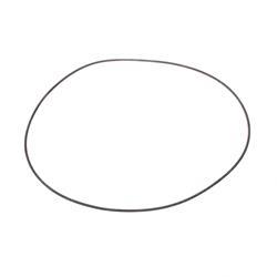 Picture of O-Ring