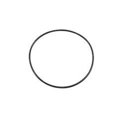 Picture of O-Ring