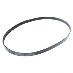 Picture of Belt - Serpentine