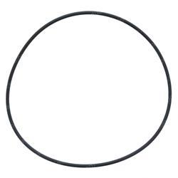 Picture of O-Ring