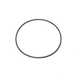 Picture of O-Ring