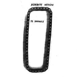 Picture of Chain - Timing