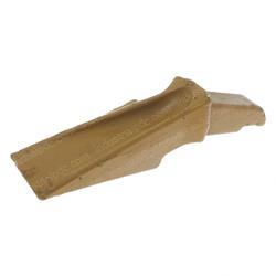 Picture of Tooth