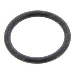 Picture of O-Ring