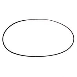 Picture of O-Ring
