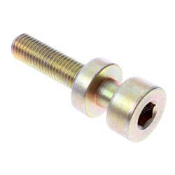 Picture of Bolt - Special