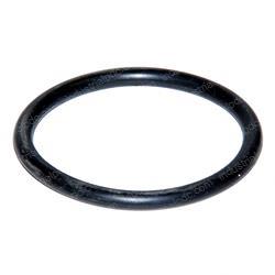 Picture of O-Ring