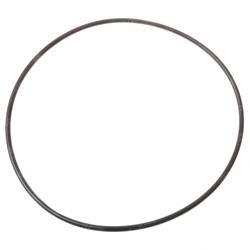 Picture of O-Ring