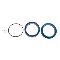 Picture of Seal Kit-Lif