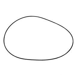 Picture of O-Ring