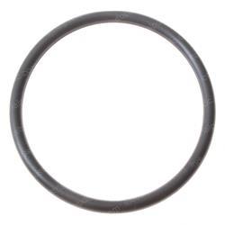 Picture of O-Ring