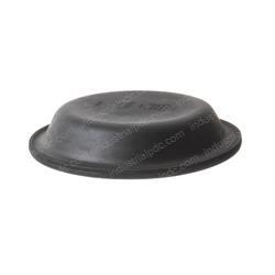 Picture of Diaphragm