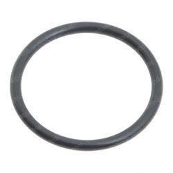 Picture of O-Ring