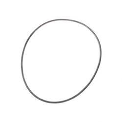 Picture of O-Ring