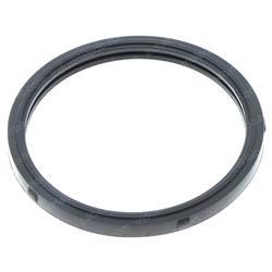 Picture of O-Ring