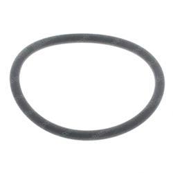 Picture of O-Ring
