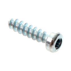 Picture of Screw