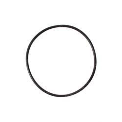 Picture of O-Ring