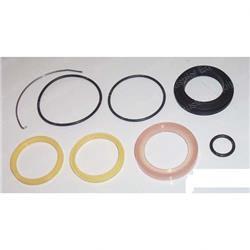  005910745181 SEAL KIT - LIFT CYLINDER