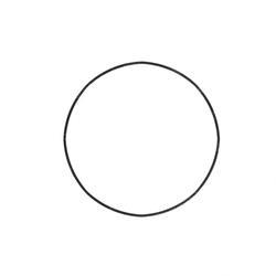 Picture of O-Ring
