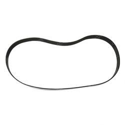 Picture of Belt - Serpentine