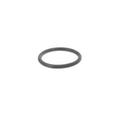 Picture of O-Ring