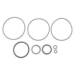 Picture of Seal Kit for 107869