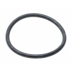 Picture of O-Ring