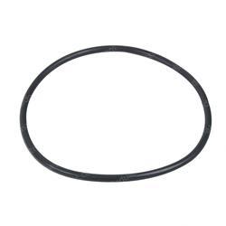 Picture of O-Ring