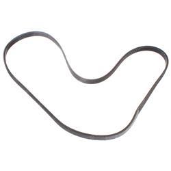 Picture of Belt - Serpentine