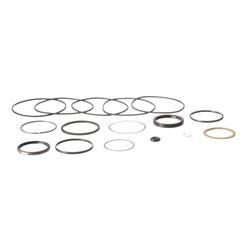 crsj310568 SEAL KIT - HYDRAULIC MOTOR