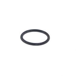 Picture of O-Ring