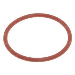 Picture of O-Ring