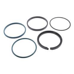 Picture of Seal Assy- 5.50"piston Hydrolo