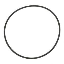 Picture of O-Ring