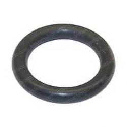 Picture of O-Ring