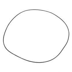 Picture of O Ring