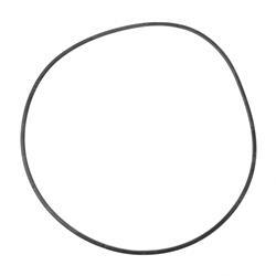Picture of Seal