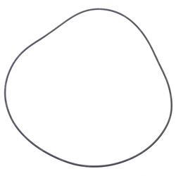 Picture of Seal
