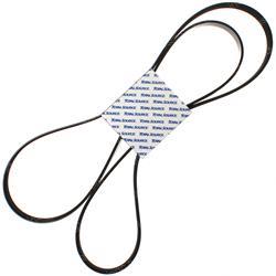 Picture of Belt - Serpentine