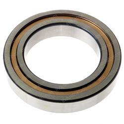 Picture of Bearing