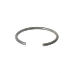 Picture of Ring
