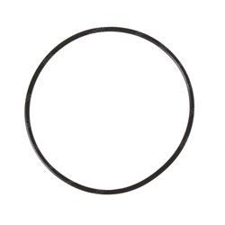 Picture of O-Ring