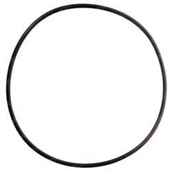 Picture of O-Ring