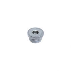 Picture of Plug - Thread