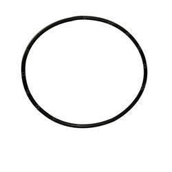 Picture of O-Ring