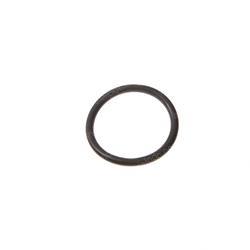 Picture of O-Ring