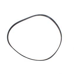 Picture of Belt - Serpentine