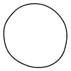 Picture of O-Ring